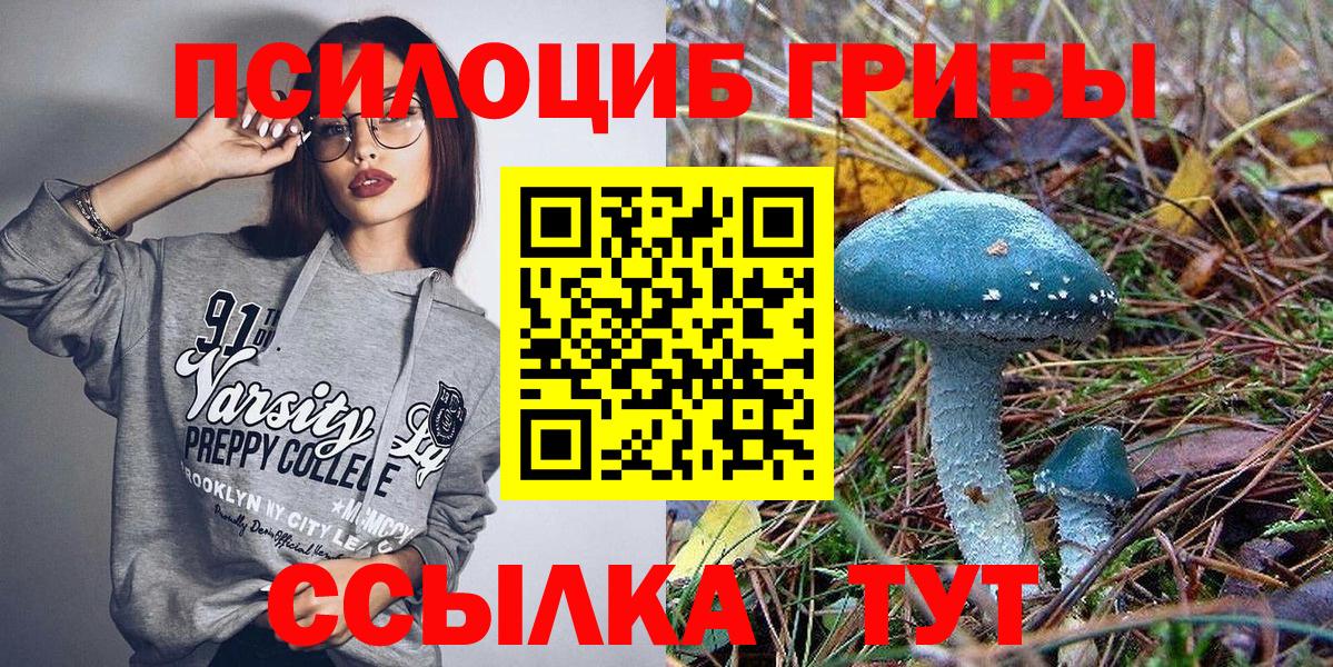 Галлюциногенные грибы Cubensis Кудрово