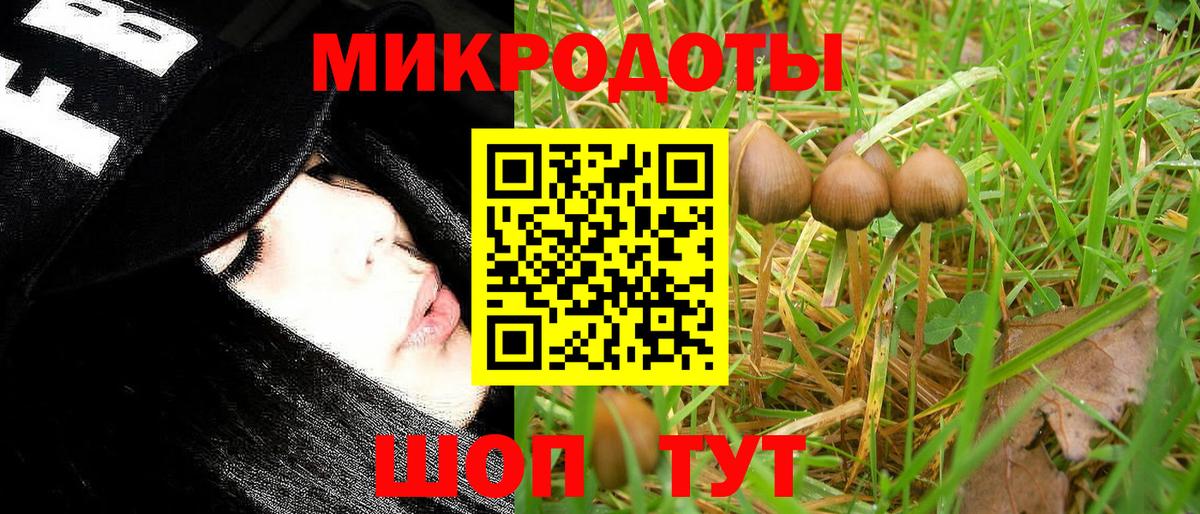 Кудрово  Псилоцибиновые грибы Psilocybine cubensis  хочу   Вход с VPN 