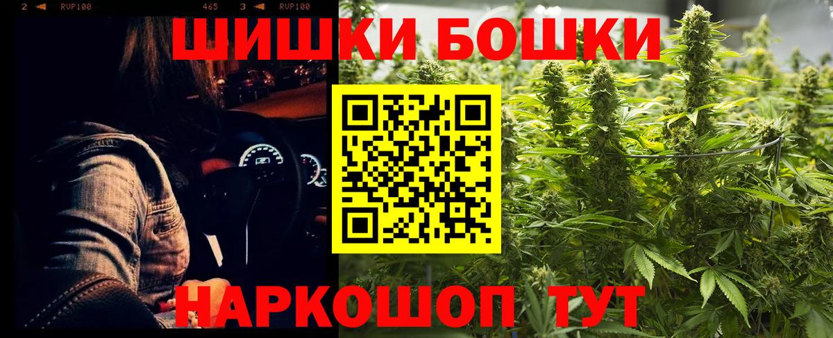 Кудрово  Бошки Шишки планчик  Марихуана OG Kush  Канабис сатива  Вход с VPN 